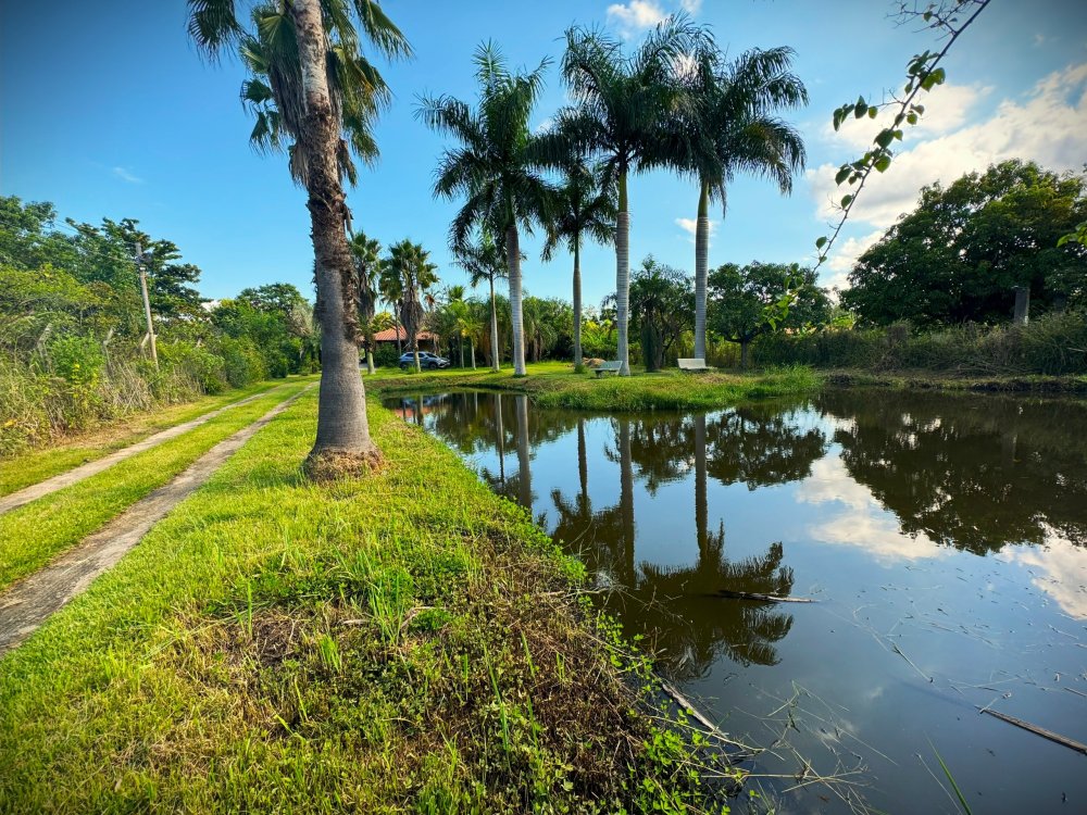 Chcara - Venda - Aparecidinha - Sorocaba - SP